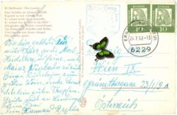 die loreley h. hoffmann