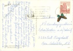mecki 0414: vati kann alles