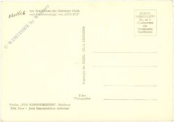 mecki: widder