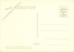 mecki: schütze