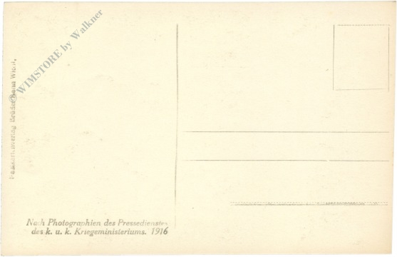 könig karl i., königin zita und kronprinz otto
