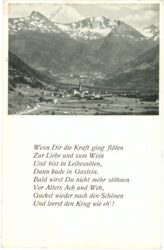 wenn dir die kraft ging flöten...