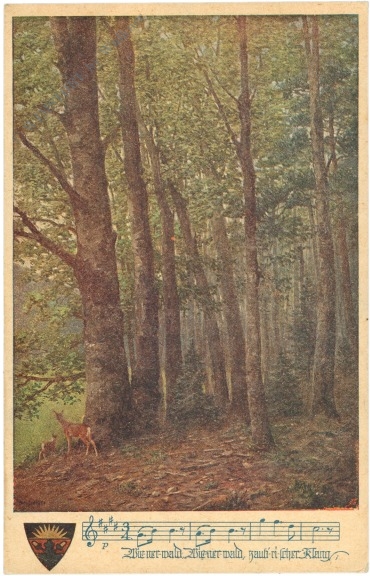 vers "wienerwald"
