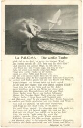 la paloma die weiße taube