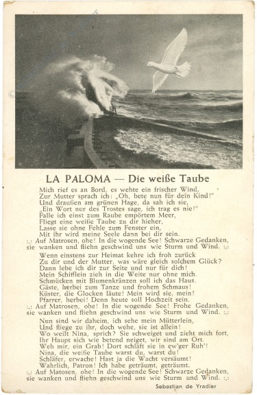 la paloma die weiße taube
