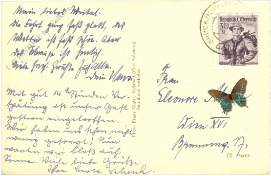 altenmarkt im pongau, ortsansicht