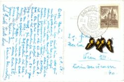 bad hofgastein, ortsansicht