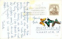 bad hofgastein, mit hundskopf