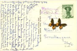 blühnbachtal, blick in das tal