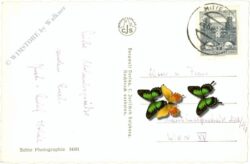 habach, alpengasthof enzian im habachtal