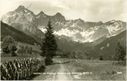 hachau, gegen dachstein