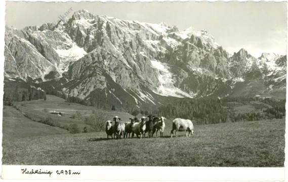 maria alm am steinernen meer, hochkönig maria alm am steinernen meer, hochkönig