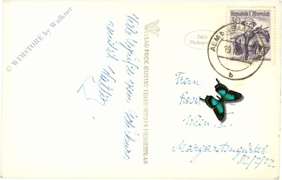 maria alm am steinernen meer, hintermoos