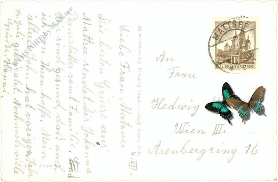 mattsee, stiftsplatz