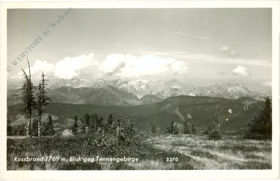 radstadt, rossbrand blick gegen tennengebirge
