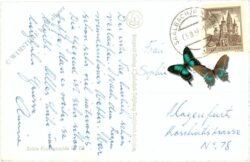 saalbach hinterglemm, multiansicht