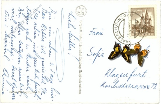 saalbach hinterglemm, mit zwölferkogel und penhab