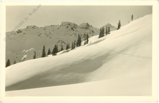 saalbach hinterglemm, ansicht