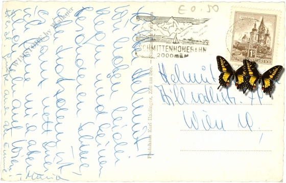 saalbach hinterglemm, wallchenlift geg. kohlmaiskopf