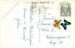 saalbach hinterglemm, ortsansicht