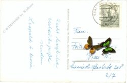 saalbach hinterglemm, skidorf ansicht