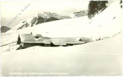 saalbach hinterglemm, breitfußalm am zwölferkogel g.d. schönhoferwand