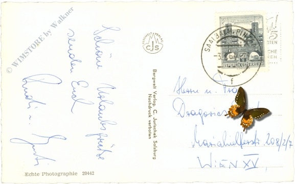 saalbach hinterglemm, breitfußalm am zwölferkogel g.d. schönhoferwand