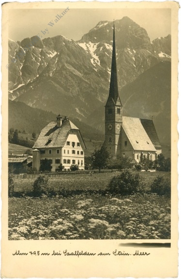saalfelden am steinernem meer, alm