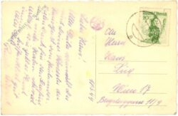 saalfelden am steinernem meer, alm