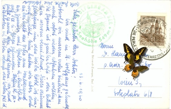 st. wolfgang, kirche