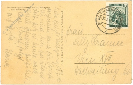 st. wolfgang, abersee vom schafberg