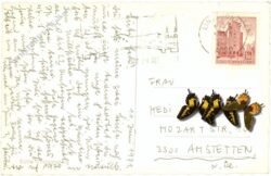 unternberg, multiansicht schloss moosham