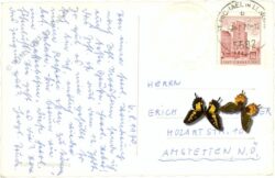 unternberg, multiansicht schloss moosham