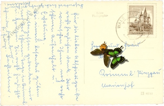 viehausen, gasthof ragginger