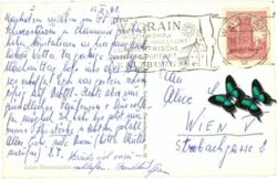 wagrain, mit höllensteinlift