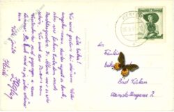 werfen, veste hohenwerfen mit achselkopf u. hochkogel