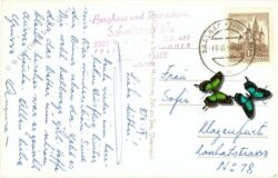 zell am see, schmittenhöhe, blick zu den hohen tauern