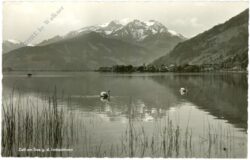 zell am see, g.d. imbachhorn