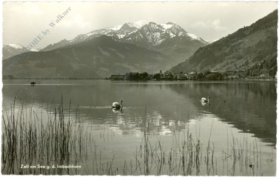 zell am see, g.d. imbachhorn
