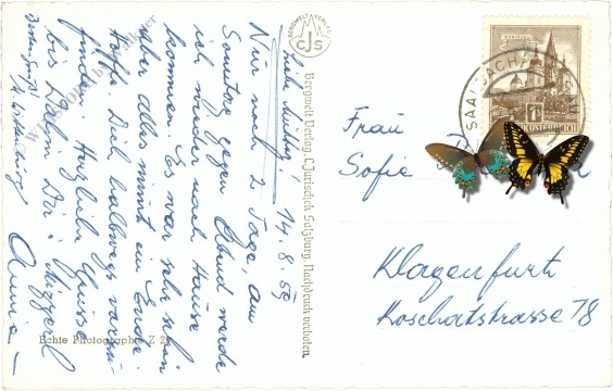 zell am see, g.d. imbachhorn