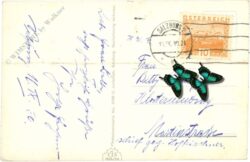 salzburg, schloss hellbrunn, lustschloss