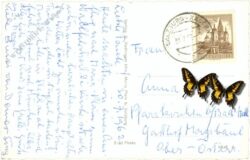 maria plain, wallfahrts basilika