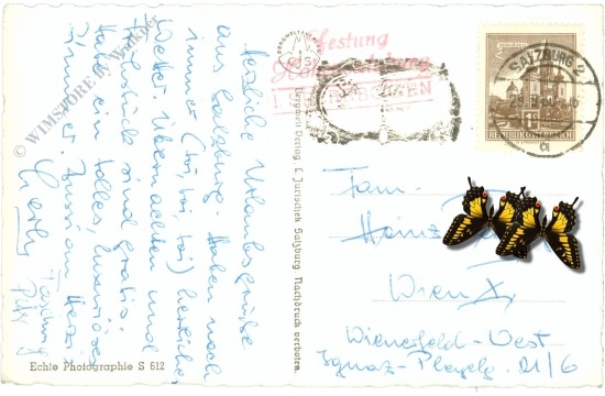 salzburg, residenzbrunnen und glockenspiel bei nacht