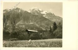 ansicht berge