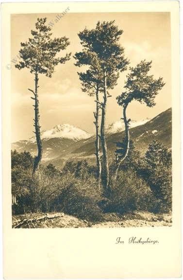 im hochgebirge