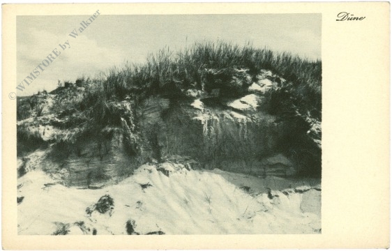 düne düne