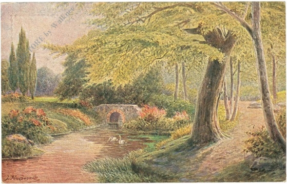 bachlauf