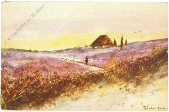 ansicht heide