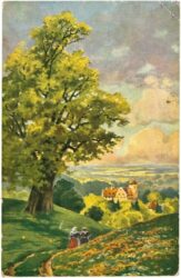 feldweg beim alten baum