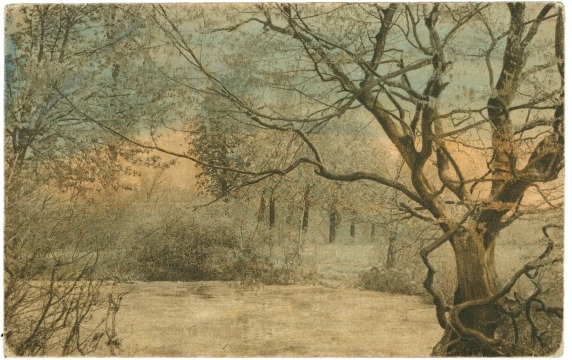 verwunschener wald verwunschener wald